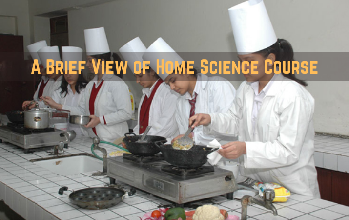 A Brief View of Home Science Course